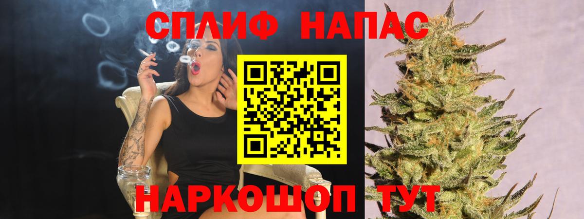Бошки марихуана план  Бошки марихуана сатива  Чехов  Вход с VPN  Конопля гибрид 